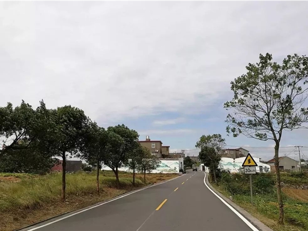 平湖杭州市政道路施工时间段深度剖析:平衡建设与城市生活
